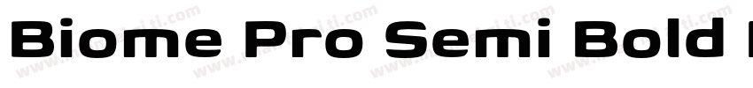 Biome Pro Semi Bold Italic字体转换